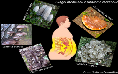 Sindrome metabolica di tipo II