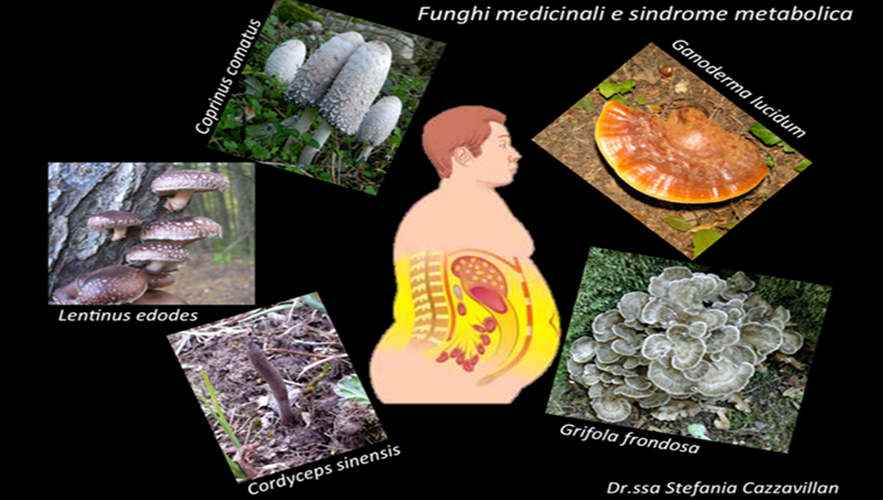 Sindrome metabolica di tipo II